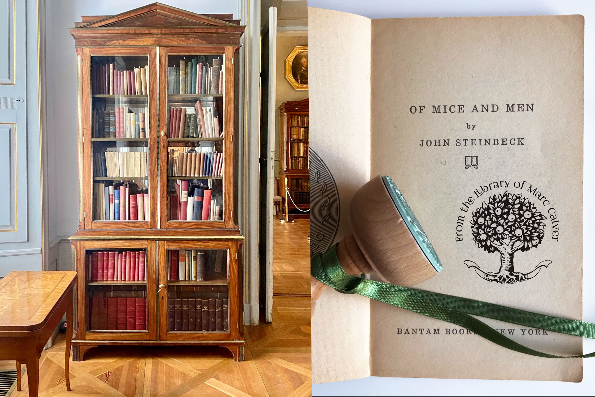 rodzinna biblioteczka